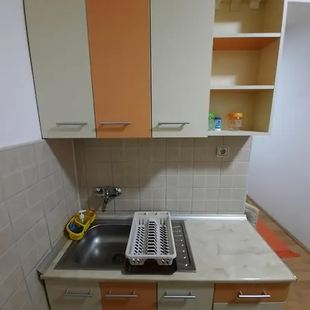 Apartment Smestaj Milenkovic *