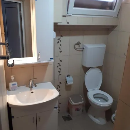 Apartment Smestaj Milenkovic Soko Banja