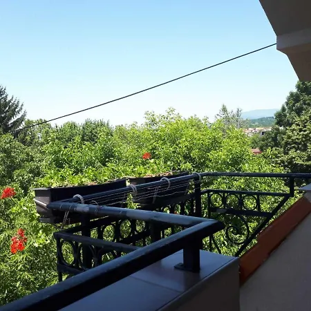 Apartment Smestaj Milenkovic Soko Banja