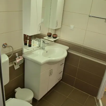 Smestaj Milenkovic * Soko Banja