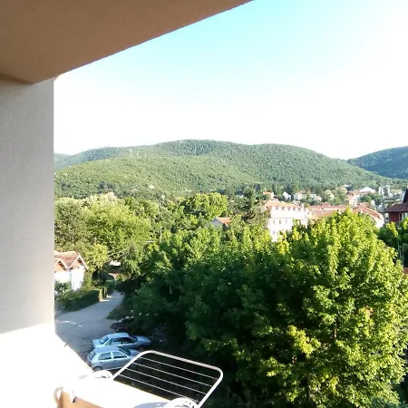 Smestaj Milenkovic Apartment *