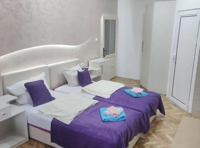 Smestaj Milenkovic شقة سوكو بانيا