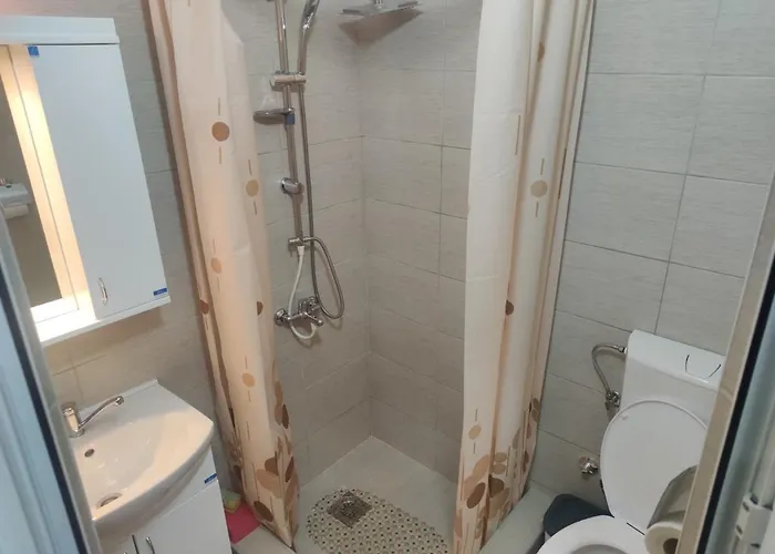 شقة Smestaj Milenkovic سوكو بانيا