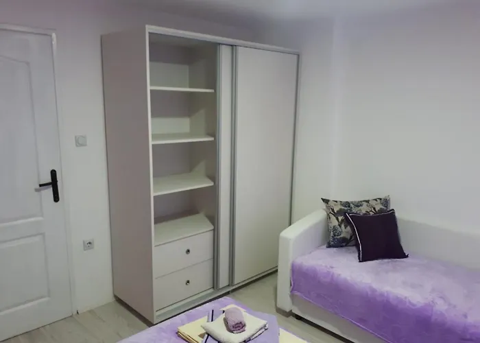 Smestaj Milenkovic شقة سوكو بانيا