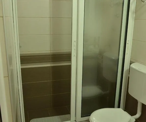 Smestaj Milenkovic شقة سوكو بانيا