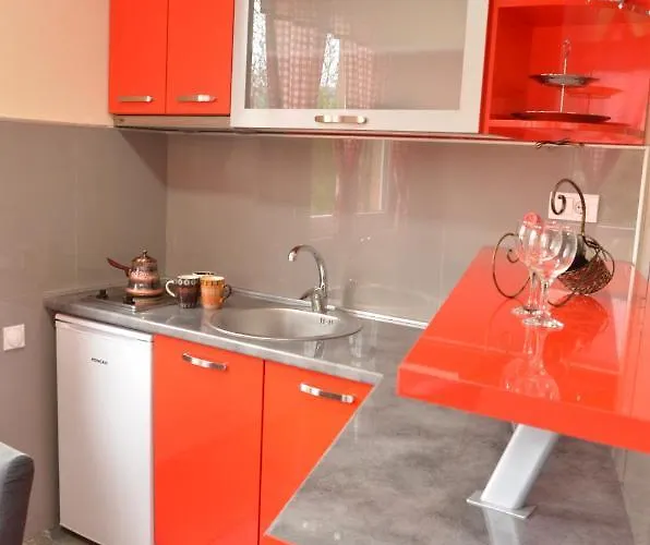 Smestaj Milenkovic شقة سوكو بانيا